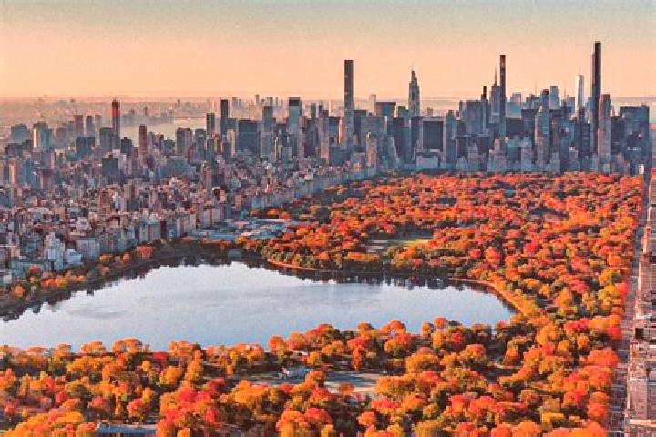 Jade, 33 — Escort in Central Park, United States