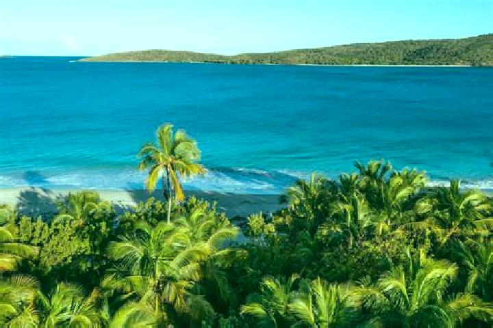 Jade, 33 — Escort in Culebra, Puerto Rico