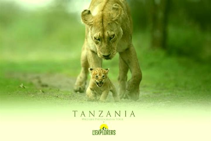Jade, 33 — Escort in Nanhyanga, Tanzania
