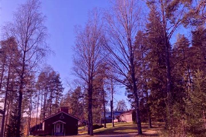Jade, 33 — Escort in Sulkava, Finland