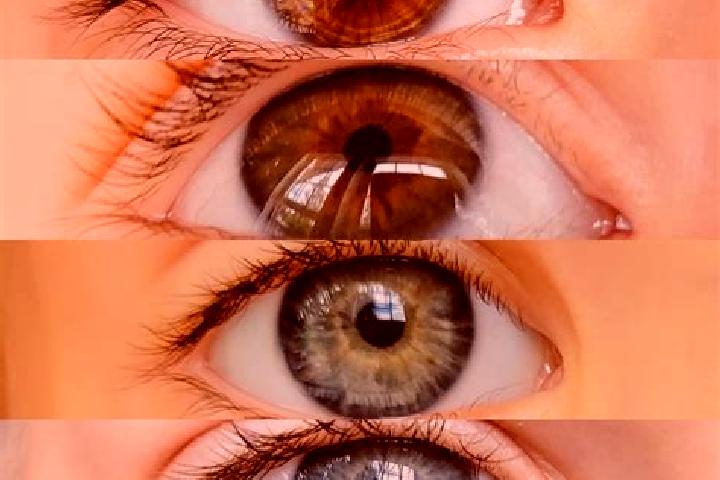 Jade, 34, a chestnut dark-eyed mixed companion based in Voroux-Goreux. Offering Tantra, OWO, 69, Roleplay. Available for incall and outcall, day and evening ...