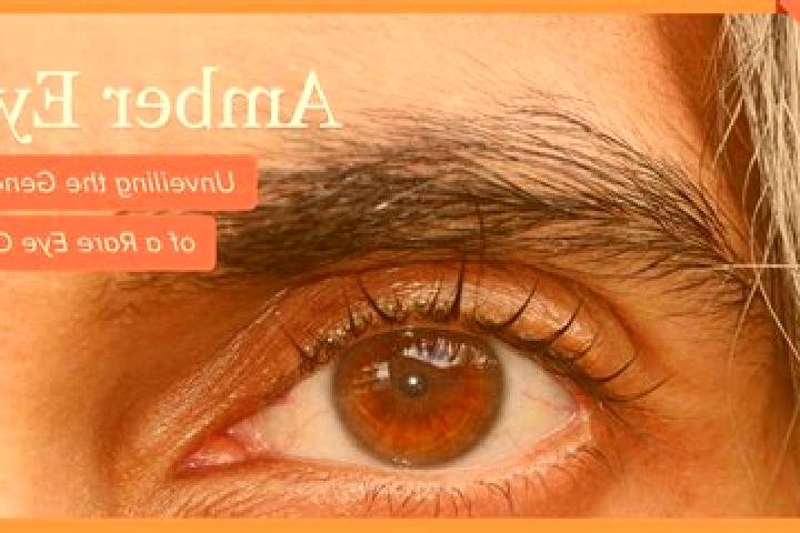 Jade, 34, a red amber-eyed caucasian companion based in Nanteuil-les-Meaux. Offering CIM, Massage, Deep French Kissing, Party Girl. Available for incall and ...