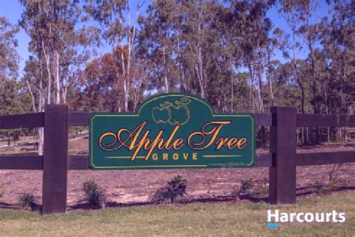 Jade, 34 — Escort in Apple Tree Creek, Australia