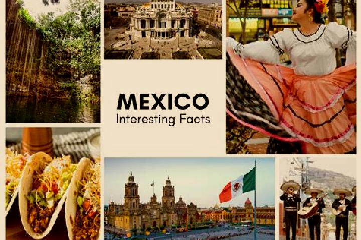Jade, 34 — Escort in Fresnal, Mexico