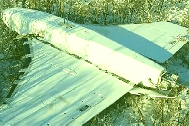 Jade, 34 — Escort in Gastello, Russia