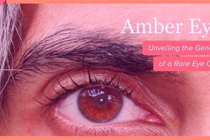 Jade, 35, a red amber-eyed mixed companion based in La Brigue. Offering Domination, Duos, Prostate Massage. Available for incall and outcall, day and evening...