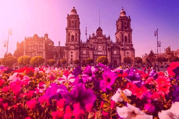 Jade, 35 — Escort in Ciudad Ayala, Mexico