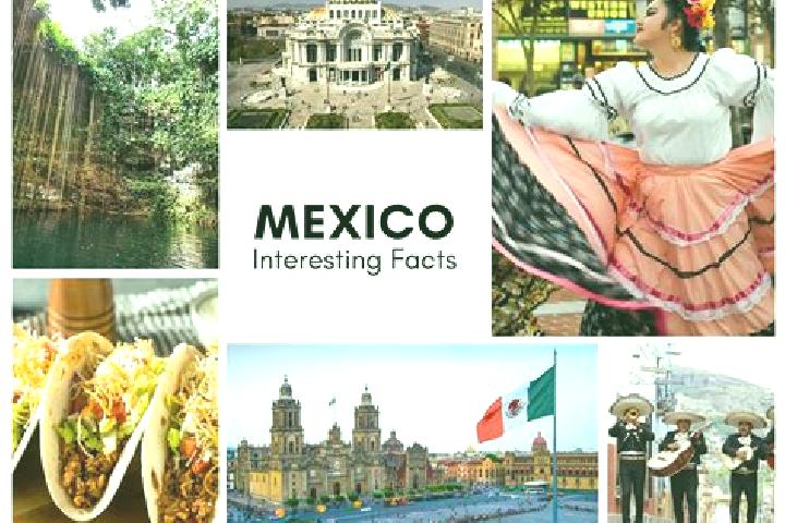 Jade, 35 — Escort in Pochalcatl, Mexico