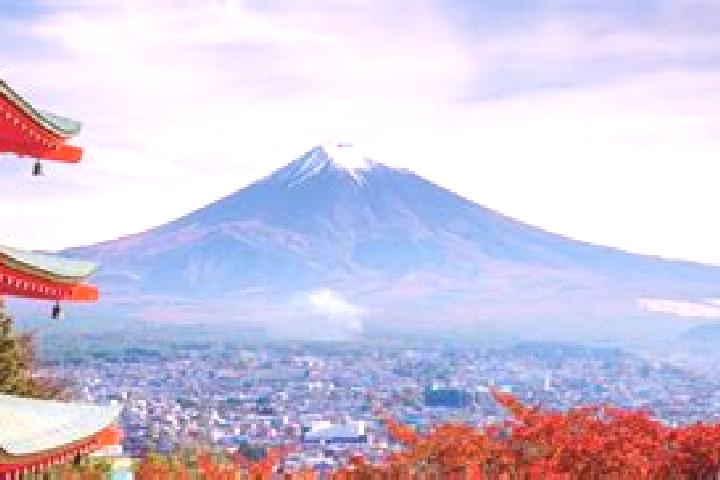 Jade, 35 — Escort in Shimizu, Japan