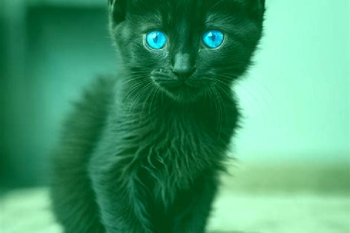 Jade, 36, a black blue-eyed mediterranean companion based in Seteluk Atas. Offering Tantra, Travel Companion, Duos. Available for incall and outcall, overnig...
