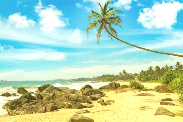 Jade, 36 — Escort in Ambalangoda, Sri Lanka