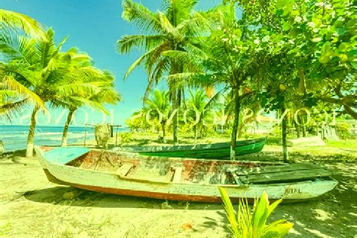 Jade, 36 — Escort in Baracoa, Honduras