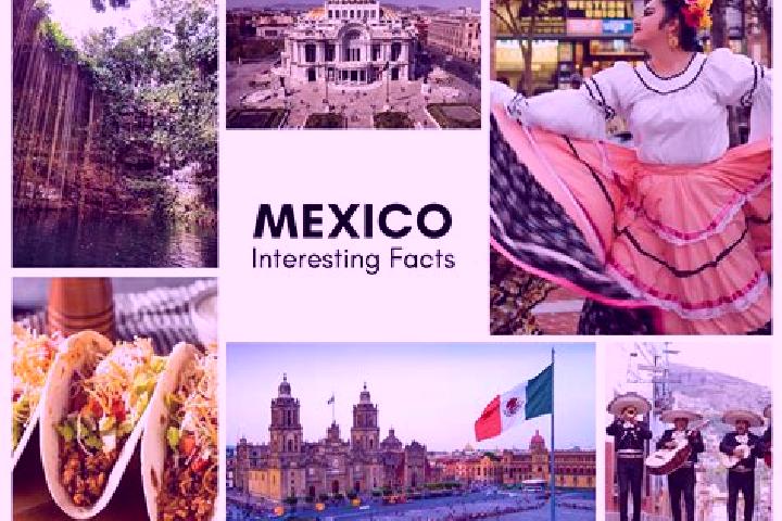 Jade, 36 — Escort in Capohuiza, Mexico