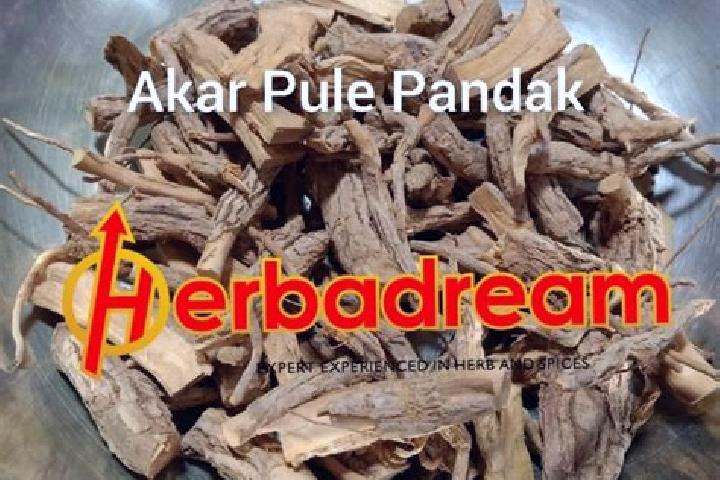 Jade, 36 — Escort in Pandak, Indonesia