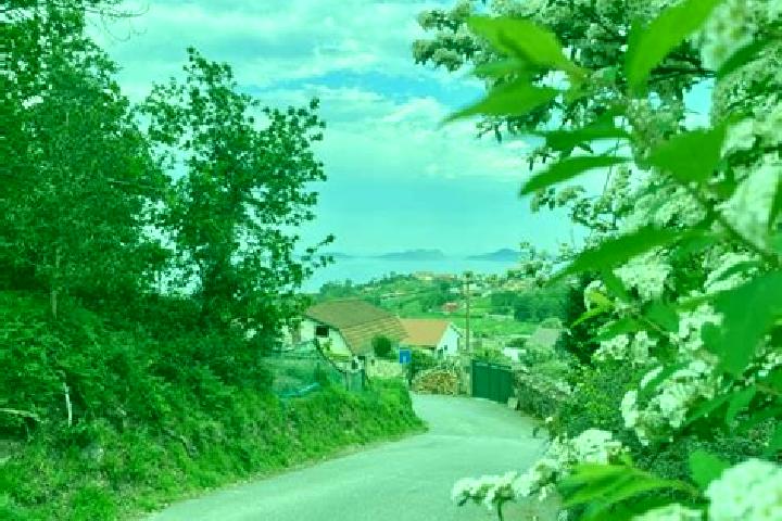 Jade, 36 — Escort in Valverde del Camino, Spain