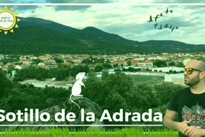 Jade, 37 — Escort in Sotillo de la Adrada, Spain