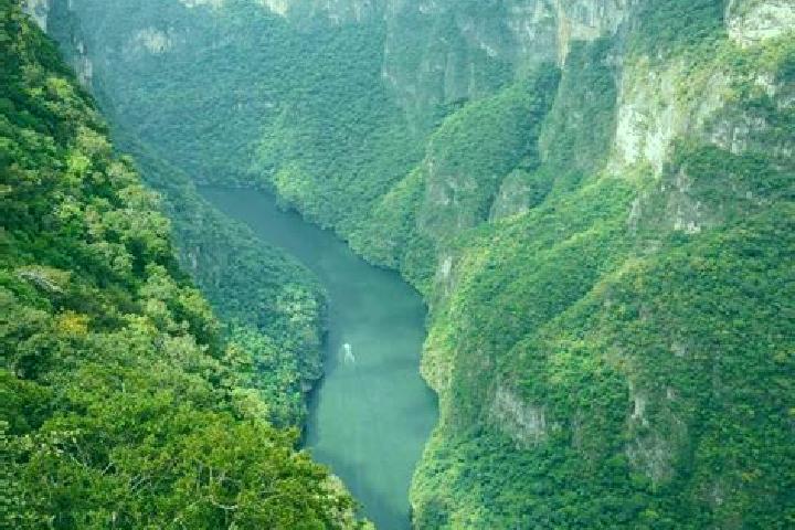 Jade, 37 — Escort in Sumidero, Mexico