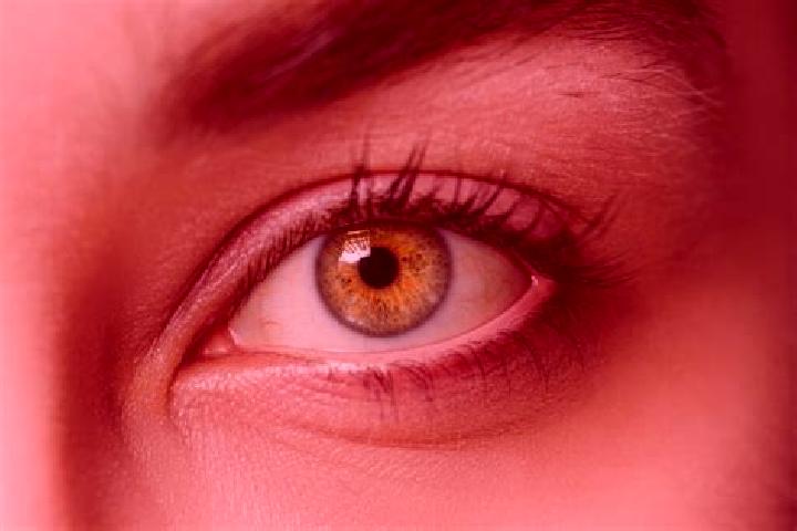 Jade, 38, a chestnut hazel-eyed mixed companion based in Wintersdorf. Offering Tantra, GFE, OWO, Overnight, 69. Available for incall and outcall, overnight b...