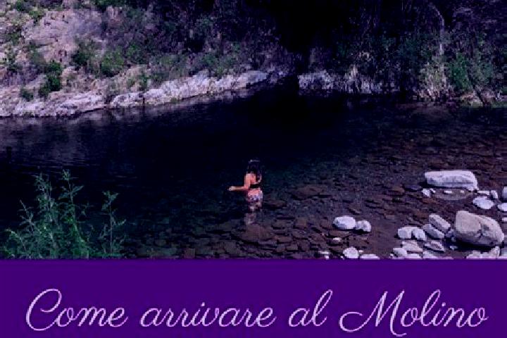Jade, 38 — Escort in Molino del Pallone, Italy