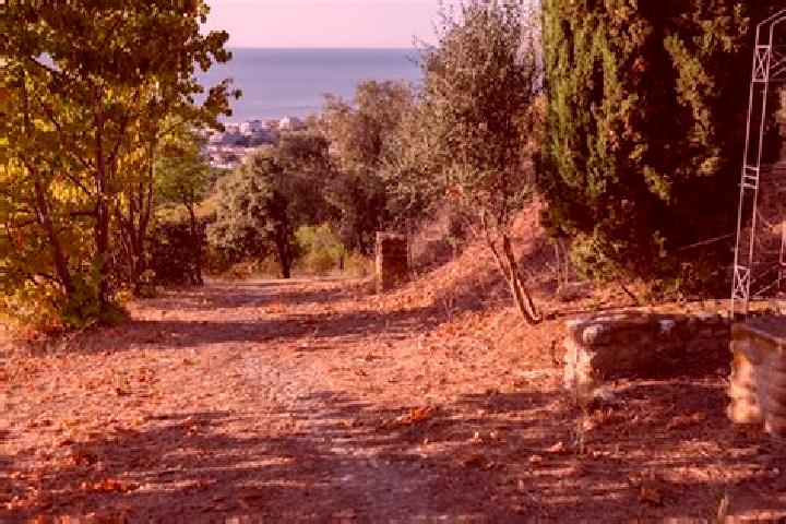 Jade, 38 — Escort in Montepagano, Italy