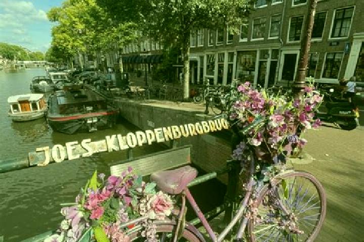 Jade, 38 — Escort in Noordeinde, Netherlands