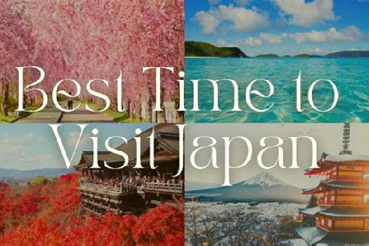 Jade, 38 — Escort in Sadamitsu, Japan