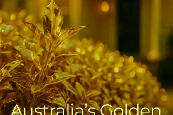 Jade, 39 — Escort in Ainslie, Australia