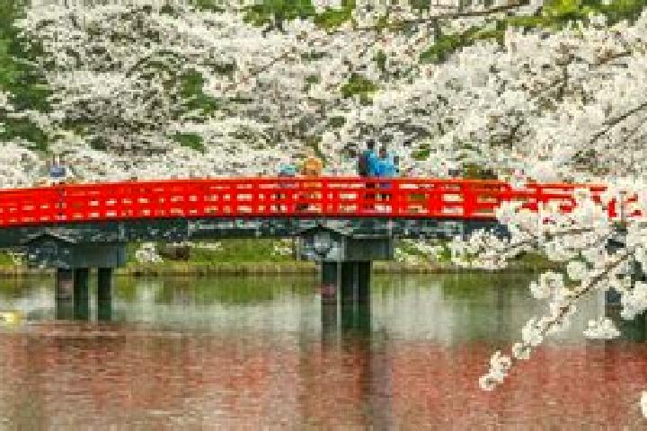 Jade, 39 — Escort in Hiranai, Japan