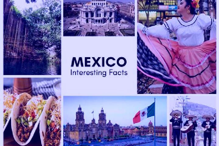 Jade, 39 — Escort in Ignacio Gutierrez, Mexico