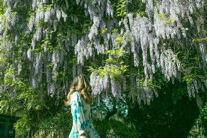 Jade, 39 — Escort in Schitu Frumoasa, Romania