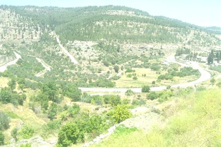 Kinsley, 20 — Escort in Battir, Palestine