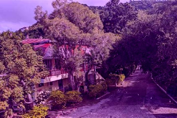 Kinsley, 20 — Escort in Castle Comfort, Dominica