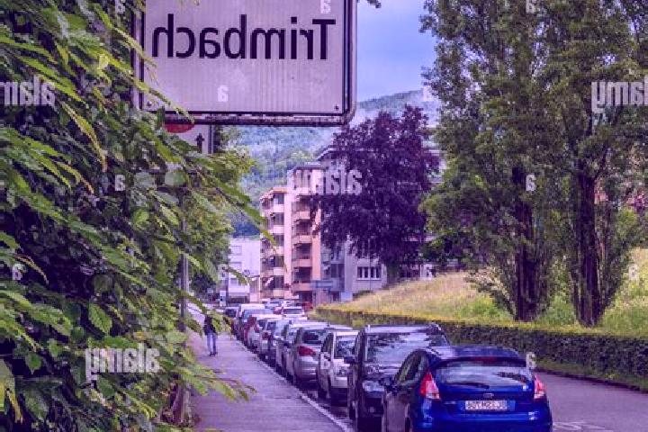 Kinsley, 20 — Escort in Trimbach, Switzerland