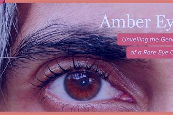 Kinsley, 21, a red amber-eyed mixed companion based in Bilaua. Offering Erotic Massage, Dinner Date, Girlfriend Experience, Prostate Massage. Available for i...