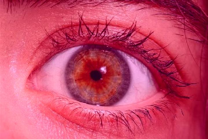 Kinsley, 21, a red hazel-eyed slavic companion based in Culpeper. Offering A-Level, OWO, Roleplay. Available for incall and outcall, overnight bookings avail...