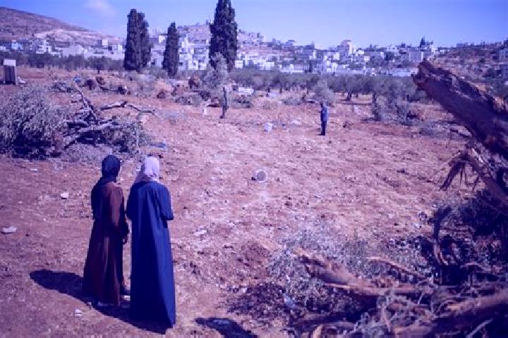 Kinsley, 21 — Escort in Al Mughayyir, Palestine