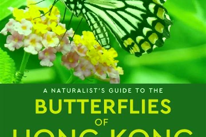 Kinsley, 21 — Escort in Butterfly, Hong Kong