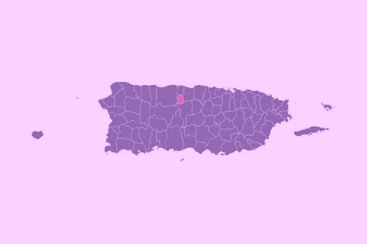 Kinsley, 21 — Escort in Estancias de Florida, Puerto Rico