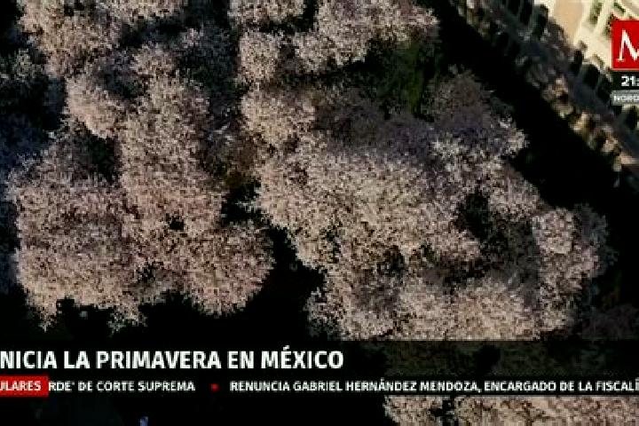 Kinsley, 21 — Escort in Eterna Primavera, Mexico