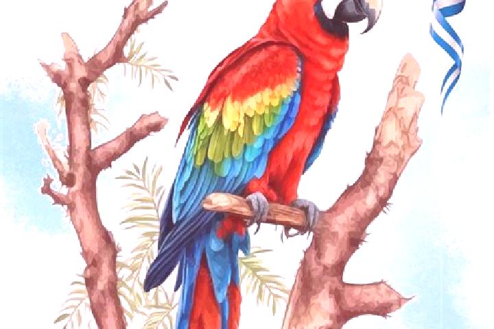 Kinsley, 21 — Escort in La Guacamaya, Honduras
