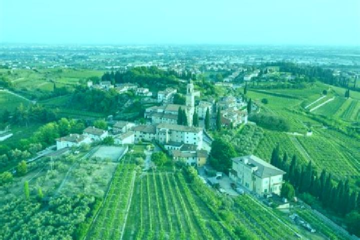Kinsley, 21 — Escort in San Pietro in Cariano, Italy
