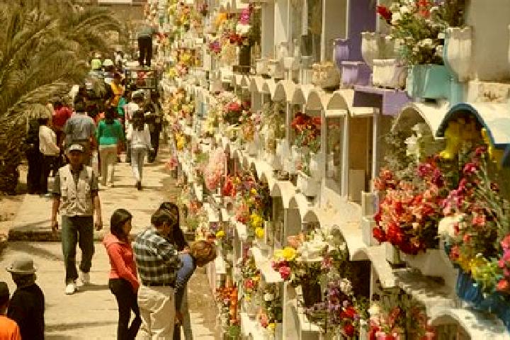 Kinsley, 21 — Escort in Sapalache, Peru