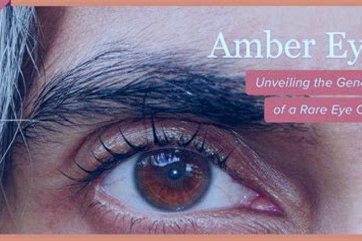 Kinsley, 22, a black amber-eyed caucasian companion based in Mezieres-lez-Clery. Offering A-Level, Striptease, CIM, Overnight. Available for incall and outca...