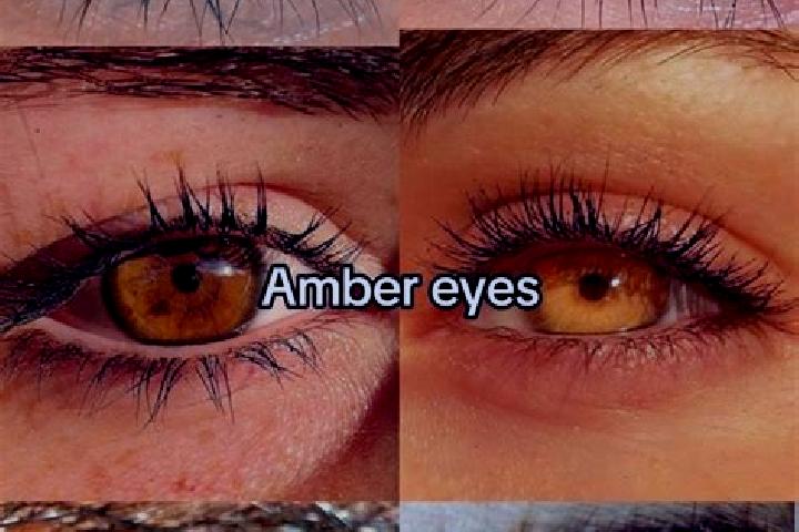Kinsley, 22, a chestnut amber-eyed caucasian companion based in El Pescadero. Offering BDSM, Roleplay, Couples. Available for incall and outcall, overnight b...