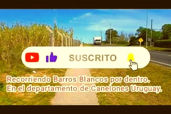 Kinsley, 22 — Escort in Barros Blancos, Uruguay