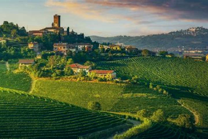 Kinsley, 22 — Escort in Bricco di Neive, Italy