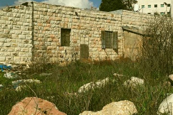 Kinsley, 22 — Escort in Deir Hanna, Israel