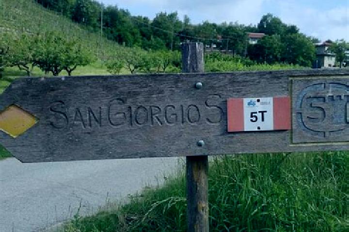 Kinsley, 22 — Escort in San Giorgio Scarampi, Italy