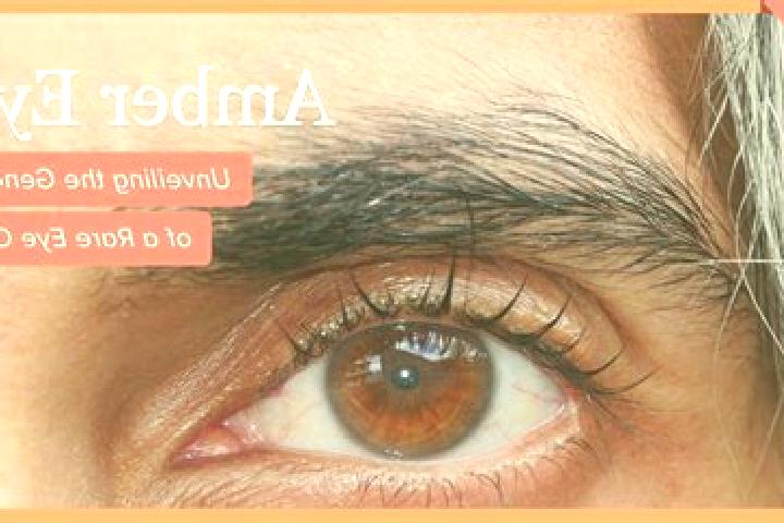 Kinsley, 23, a red amber-eyed caucasian companion based in Rio Bonito. Offering 69, Overnight, Duos, Travel Companion, Massage. Available for incall and outc...