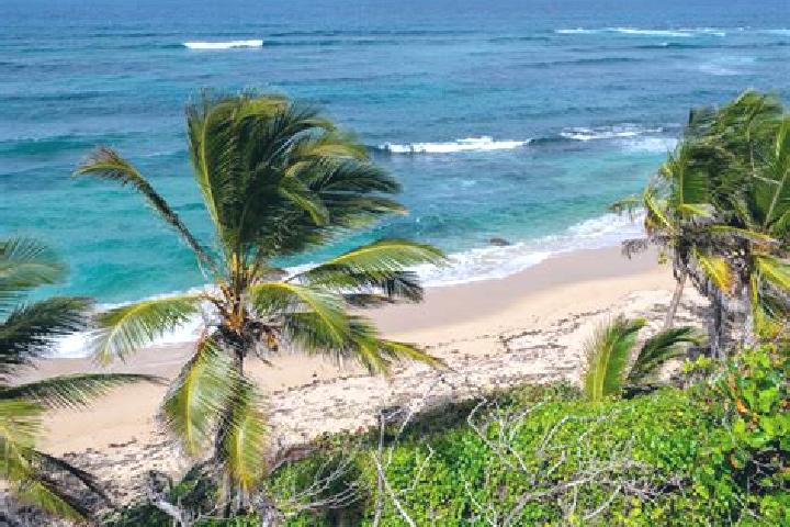 Kinsley, 23 — Escort in San Juan Yosocani, Mexico